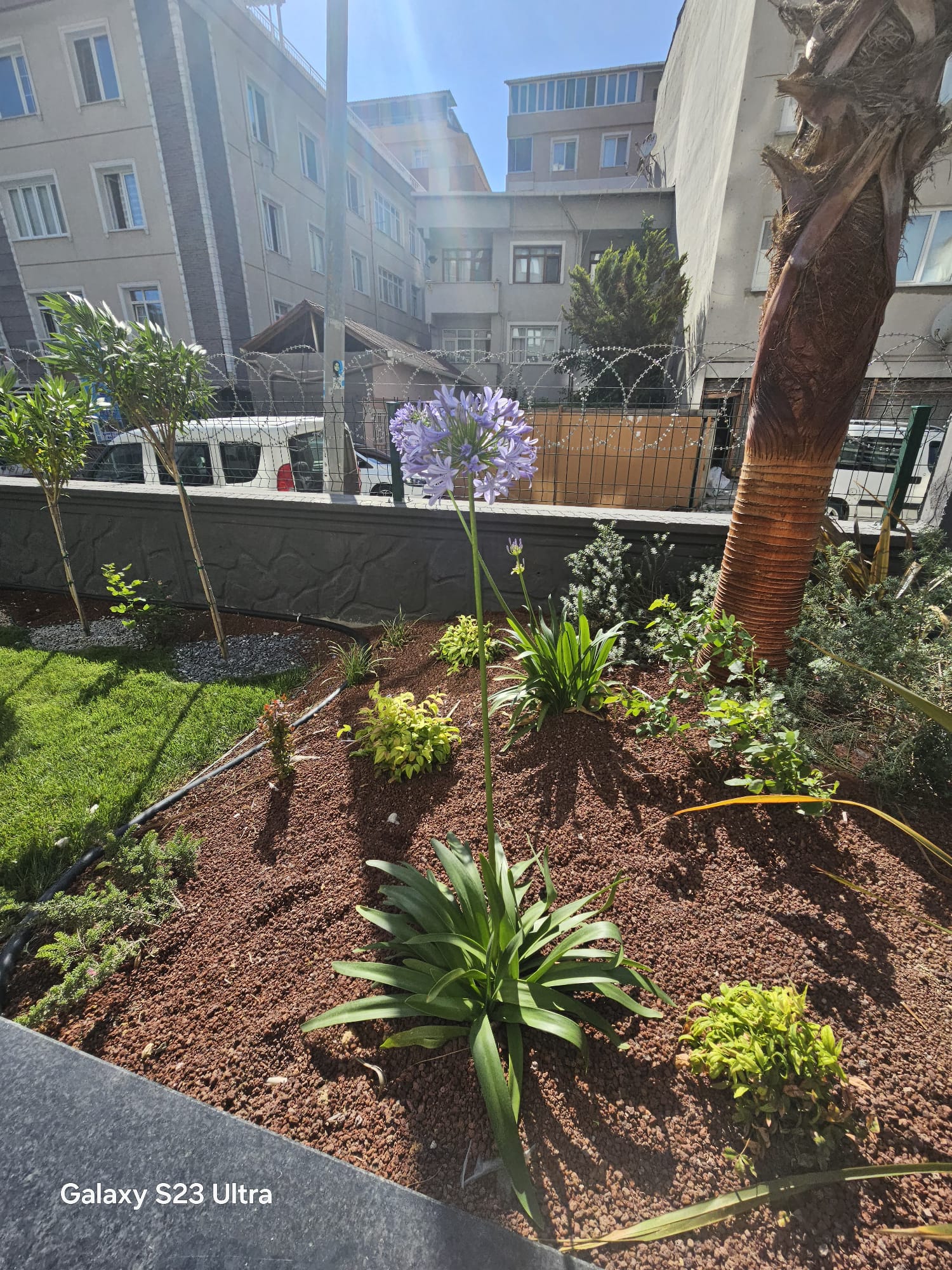 Project image