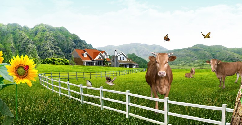 Farm Cleaning and Garden Care