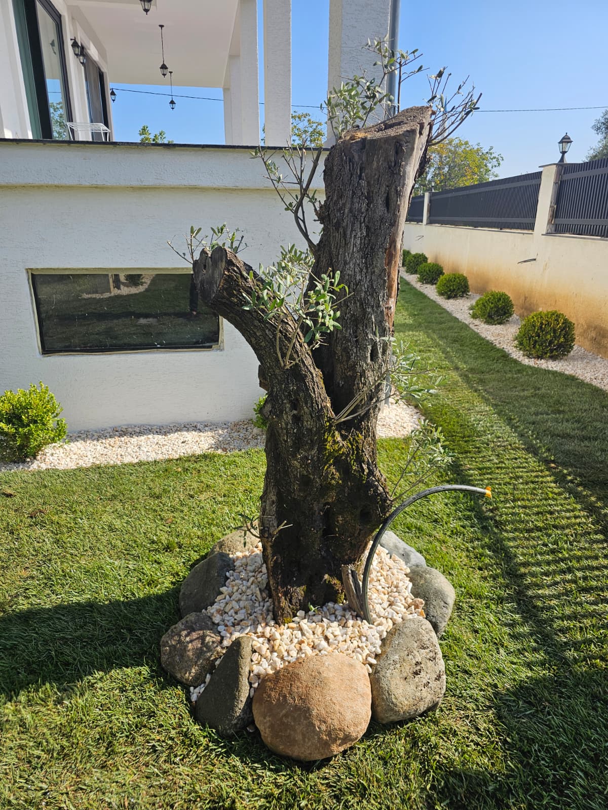 Project image