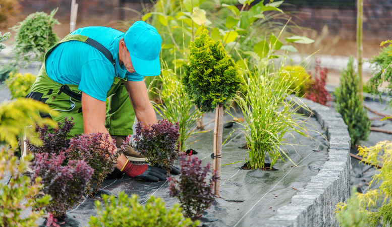 Professional Landscape Design