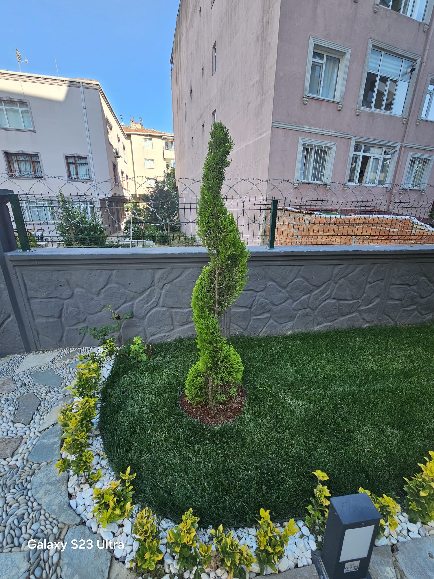 Project image