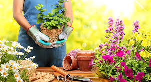 Seasonal plant change