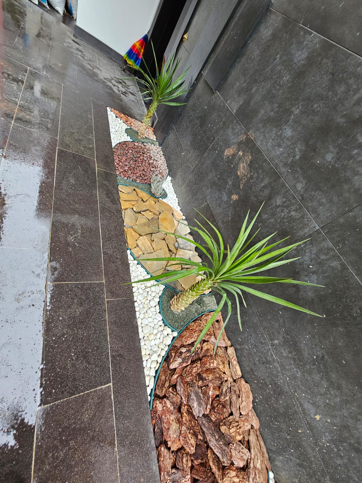 Project image