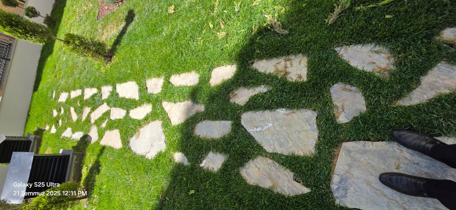 Project image
