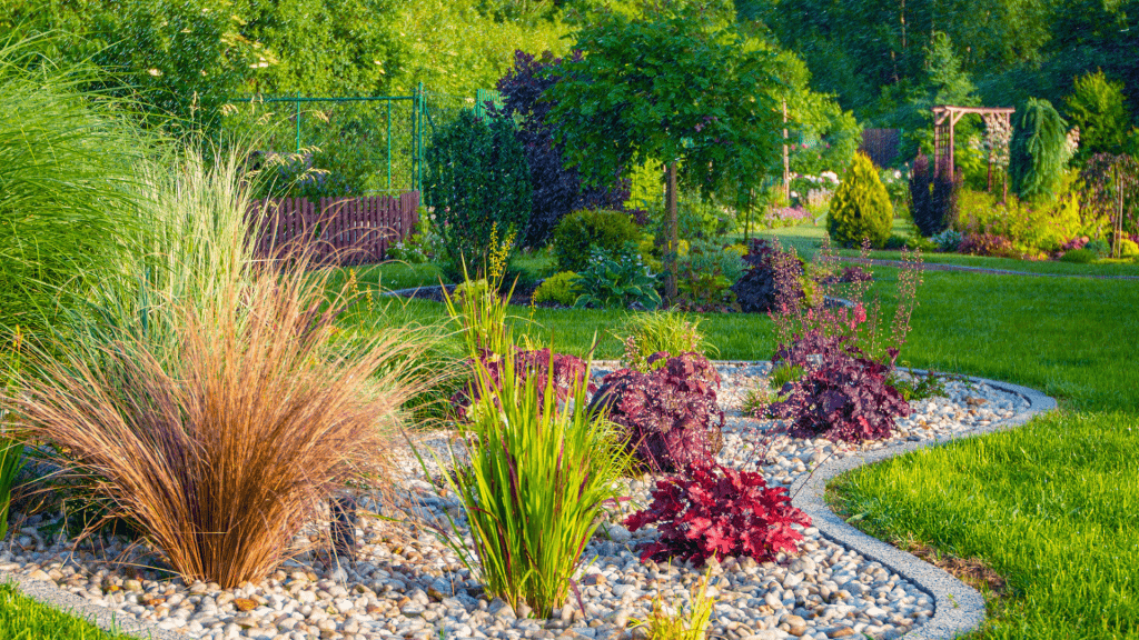 Shrubs and ornamental plants