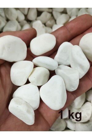 Decorative Doctor Stones5