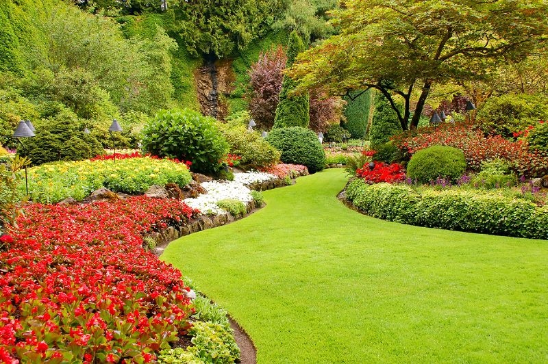 Planting