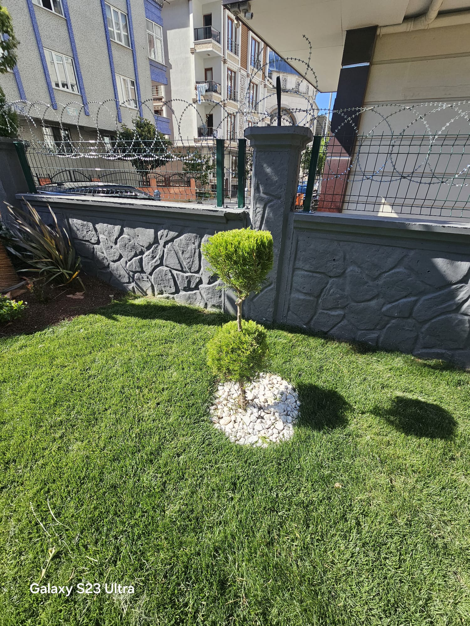Project image
