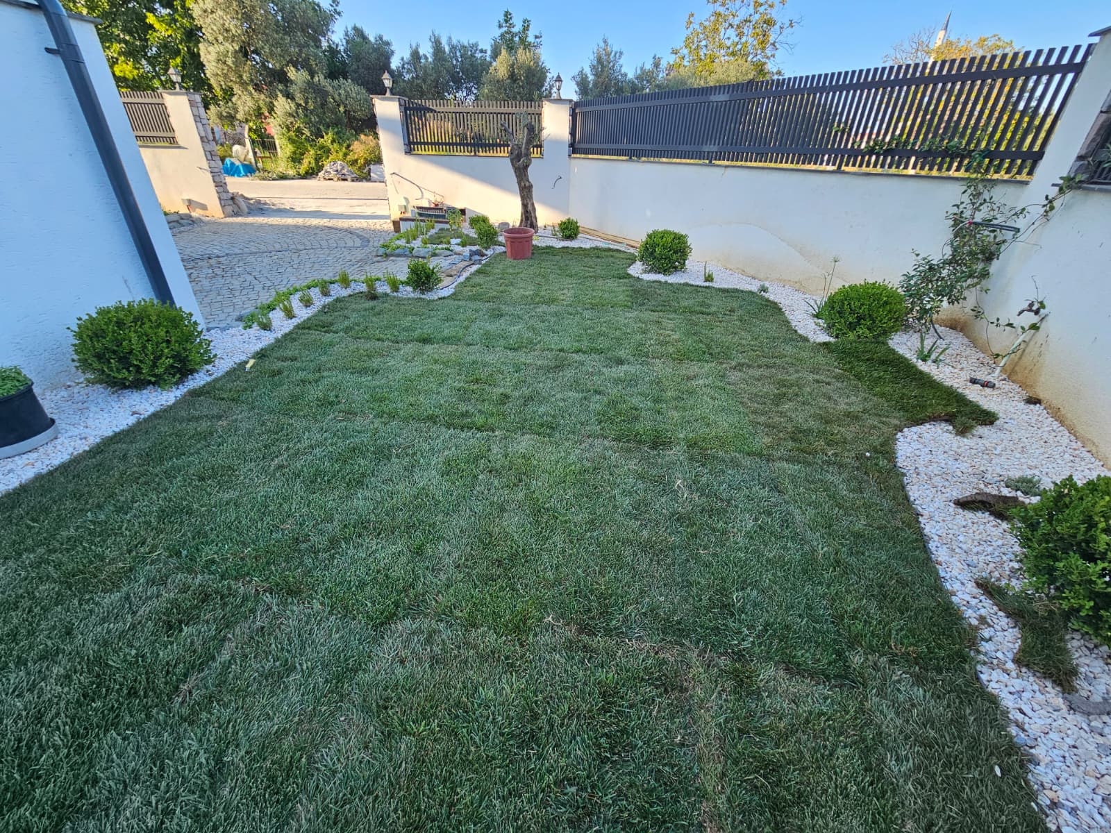 Project image