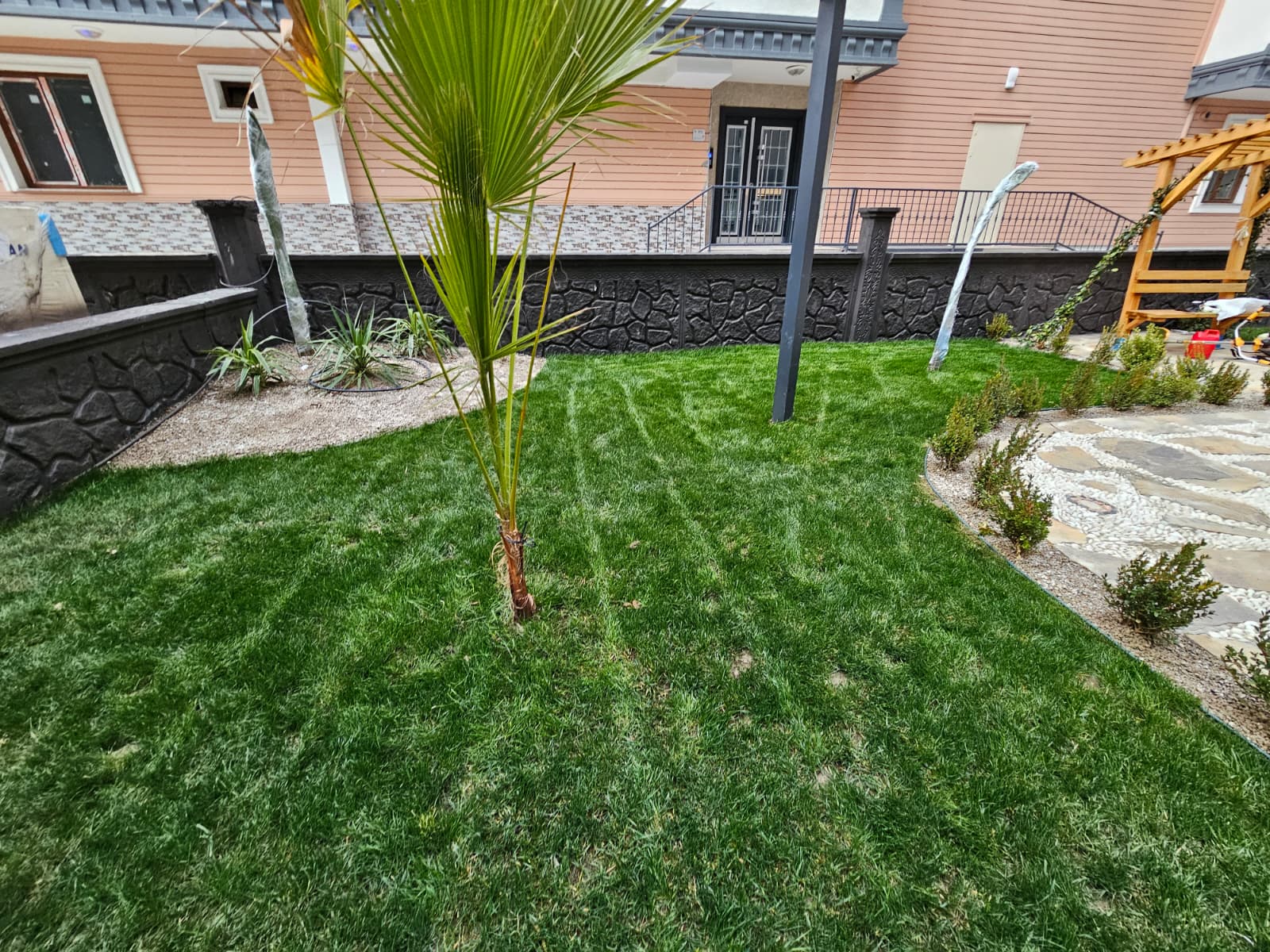 Project image